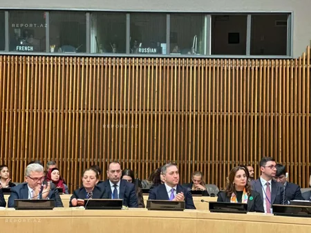 Azerbaijan shares experience on protecting women from violence at UN Meeting