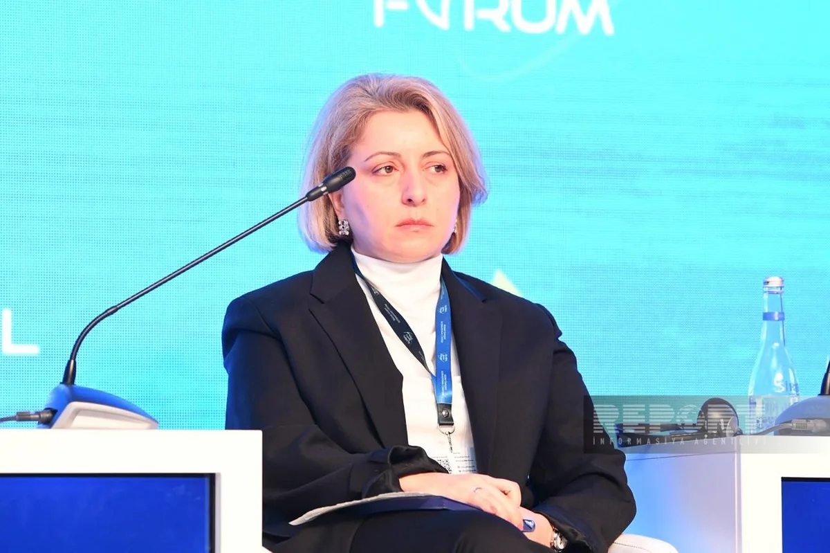 Tkeshelashvili: President Ilham Aliyev has special role in regional dev't
