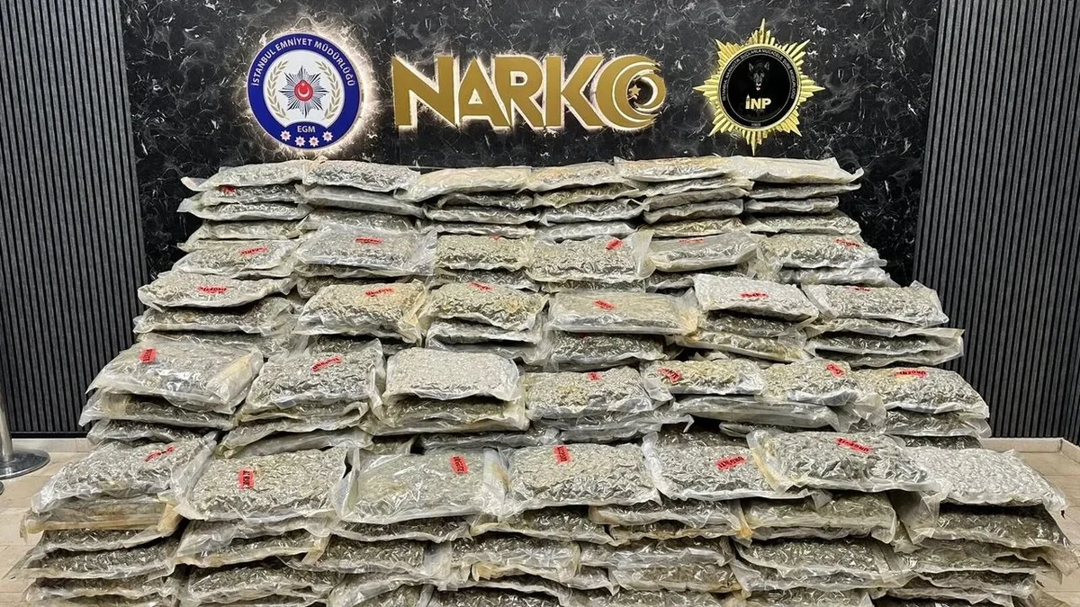 İstanbulda yarım tondan çox narkotik maddə ələ keçirilib