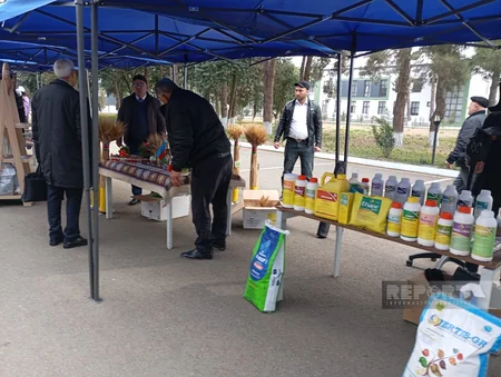 Cəlilabadda Aqrar Biznes Festivalı keçirilib