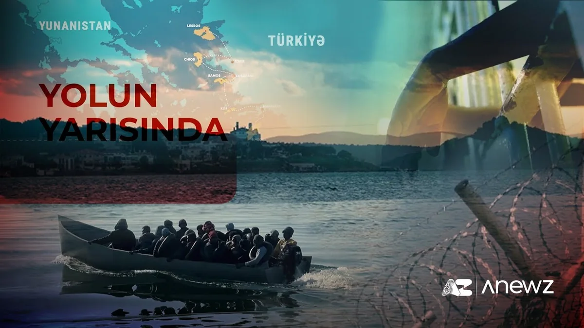 Who are the Azerbaijanis participating in illegal migration activities of organized crime groups abroad?