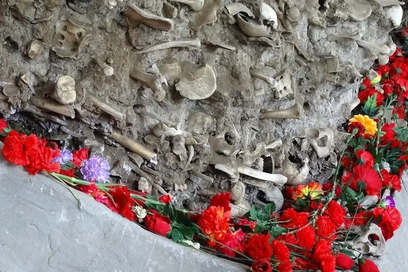 31 Mart soyqırımı təkcə Azərbaycan xalqının deyil, bəşər tarixinin ən qanlı faciələrindəndir - RƏY