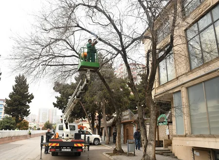 Güclü yağışdan sonra Bakıda genişmiqyaslı daxili iməcilik keçirilib