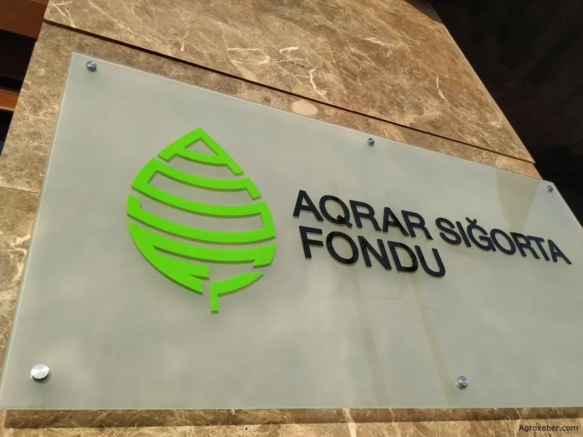Aqrar Sığorta Fondu güclü yağışlarla bağlı 300-ə yaxın müraciət qəbul edib