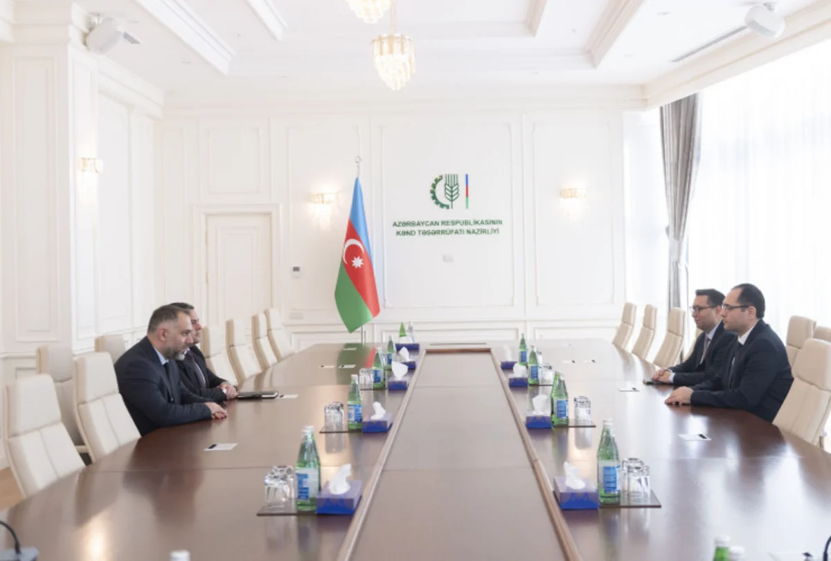 Məcnun Məmmədov Yüksəliş müsabiqəsinin qalibləri ilə görüşüb