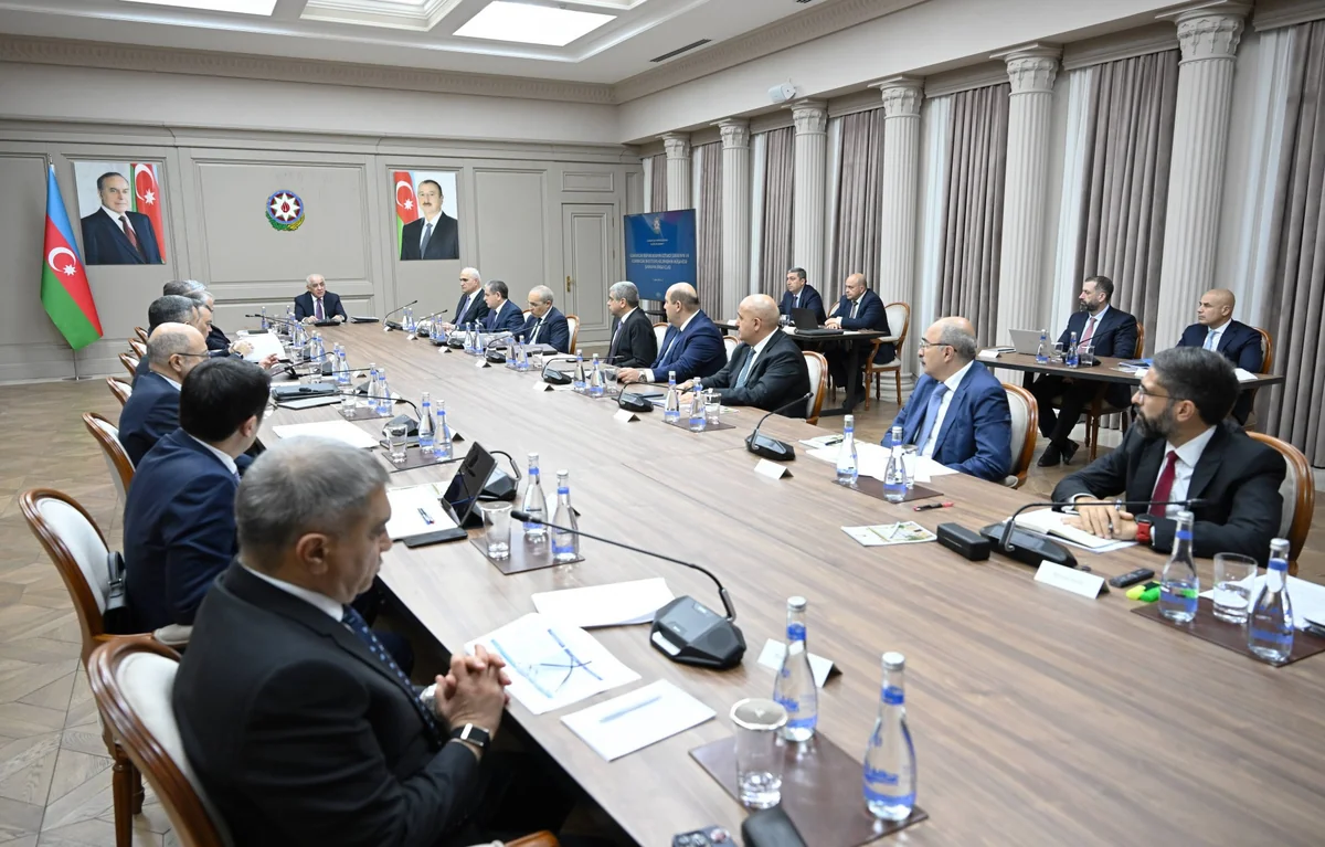 Economic Council and Supervisory Board of Azerbaijan Investment Holding convene for joint meeting