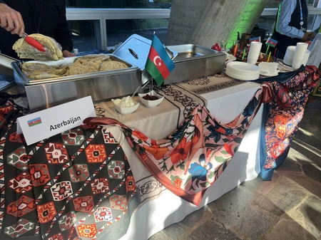 Novruz festival celebrated at UNESCO headquarters