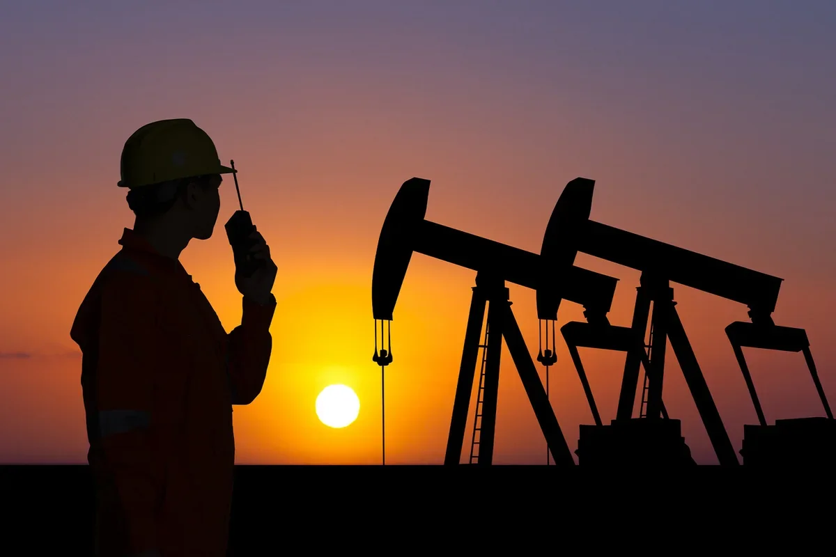 Media: Japan plans to release 20 days' worth of oil from reserves