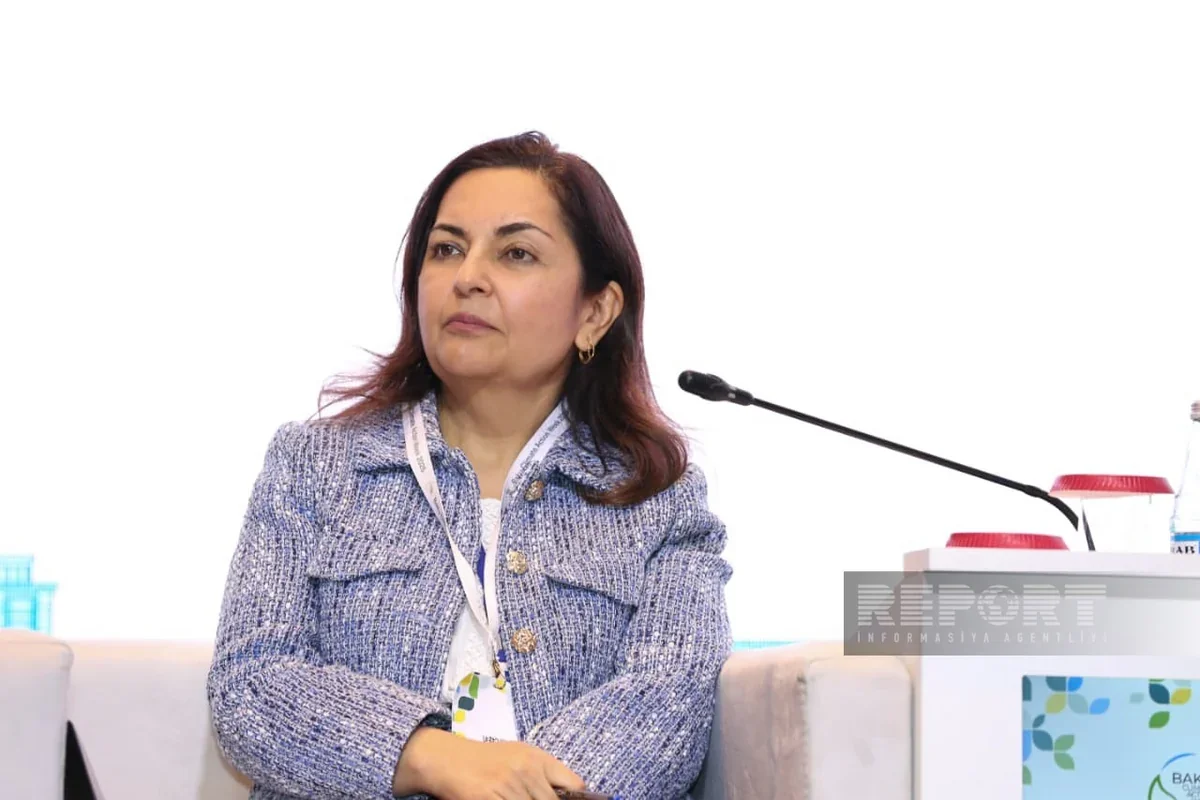 ADB ready to invest in Azerbaijan's Nakhchivan railway infrastructure