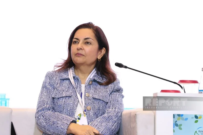 Сунния Дуррани-Джамал: АБР готов инвестировать в железнодорожную инфраструктуру Нахчывана