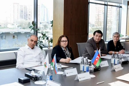 Aynur Sofiyeva AŞF-nin İcraiyyə Komitəsinin iclasında xüsusi xatirə medalı ilə təltif edilib