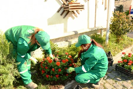 Bakı qəsəbələrinin küçələri yuyulub, əsaslı təmizlik işləri görülüb