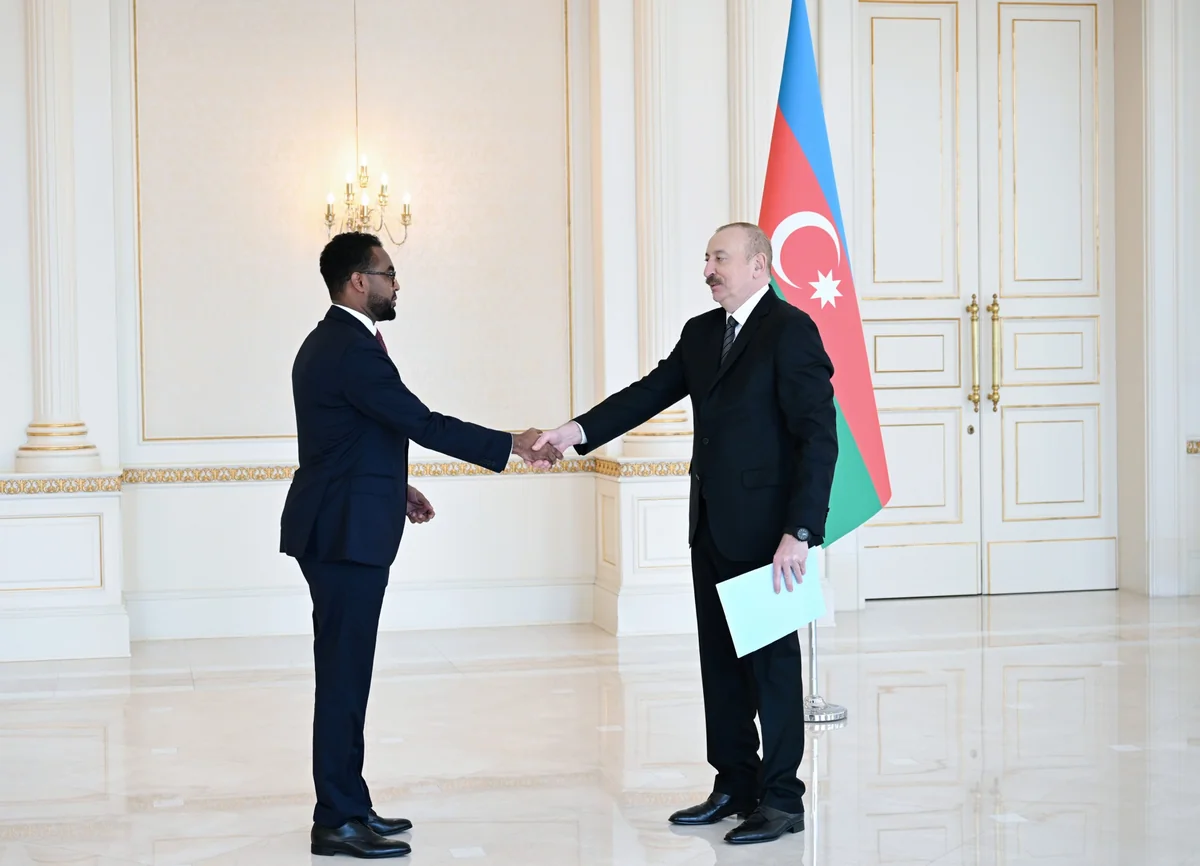 İlham Əliyev Somalinin Azərbaycana yeni təyin olunmuş səfirini qəbul edib - YENİLƏNİB