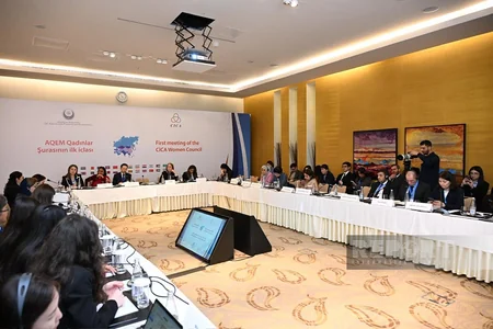 Bakıda AQEM Qadınlar Şurasının ilk iclası keçirilib, tövsiyə sənədi qəbul edilib