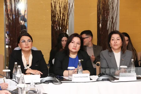 Bakıda AQEM Qadınlar Şurasının ilk iclası keçirilib, tövsiyə sənədi qəbul edilib