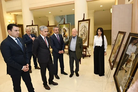 Documentary Horse Power presented at Nizami Cinema Center