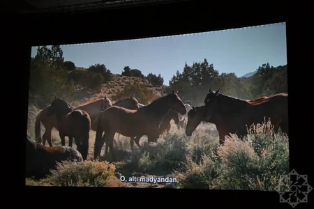 Documentary Horse Power presented at Nizami Cinema Center