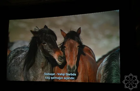 Documentary Horse Power presented at Nizami Cinema Center