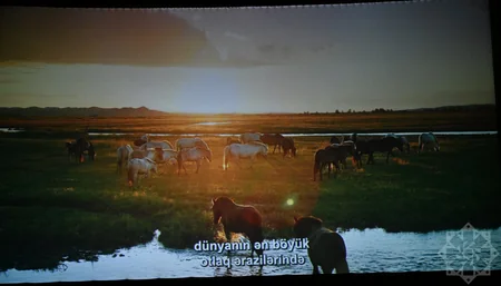 Documentary Horse Power presented at Nizami Cinema Center
