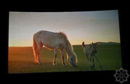 Documentary Horse Power presented at Nizami Cinema Center