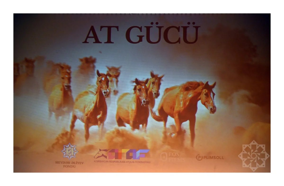 Documentary Horse Power presented at Nizami Cinema Center