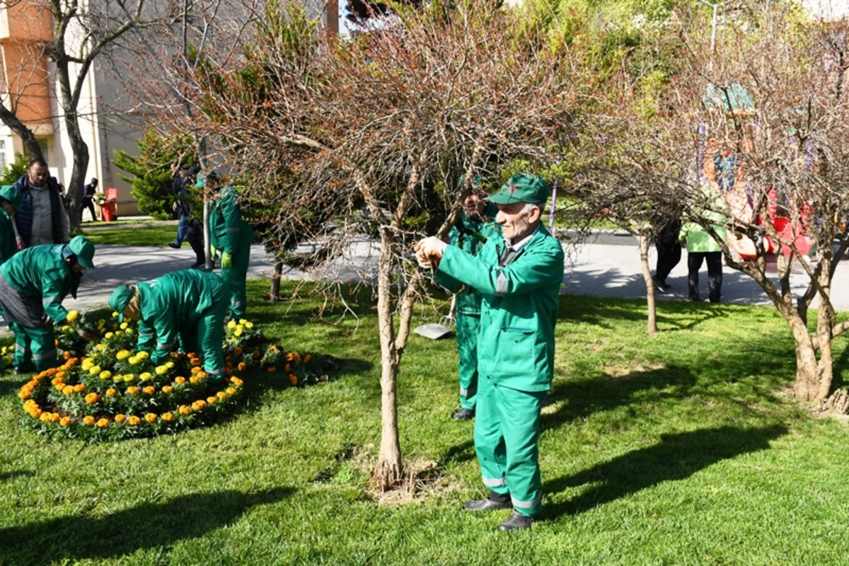 Bakıda yaz mövsümü ilə bağlı 556 küçə yuyulub - YENİLƏNİB