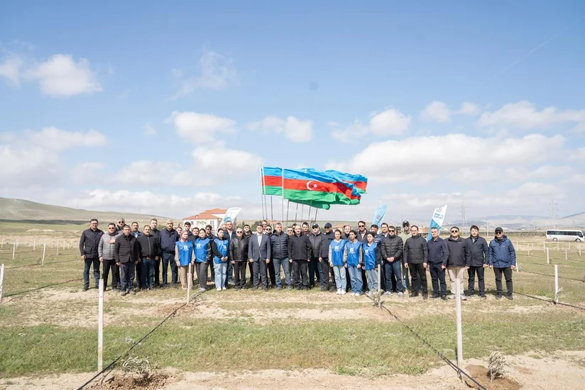 Müşfiqabadda ağacəkmə aksiyası keçirilib
