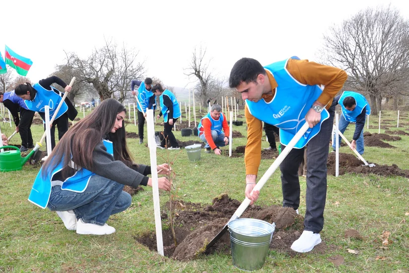 IDEA Gədəbəydə kütləvi ağacəkmə aksiyası təşkil edib