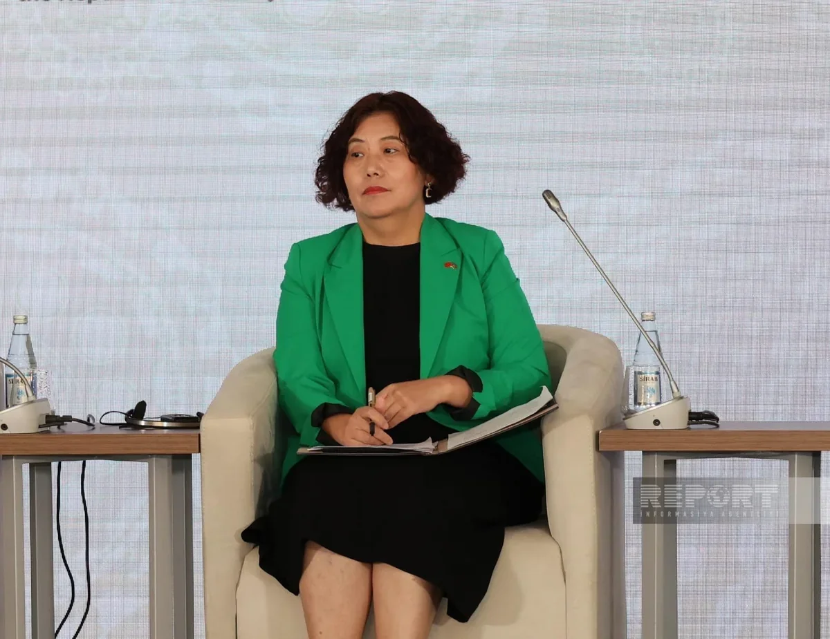 Lu Mey: Çin Azərbaycanla əməkdaşlığın genişləndirilməsi üçün böyük potensial görür