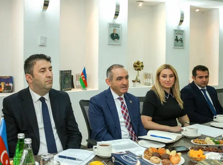 Vətən müharibəsindən sonra əvvəlki sağlamlığına qovuşan qazilərin sayı 276-ya çatıb