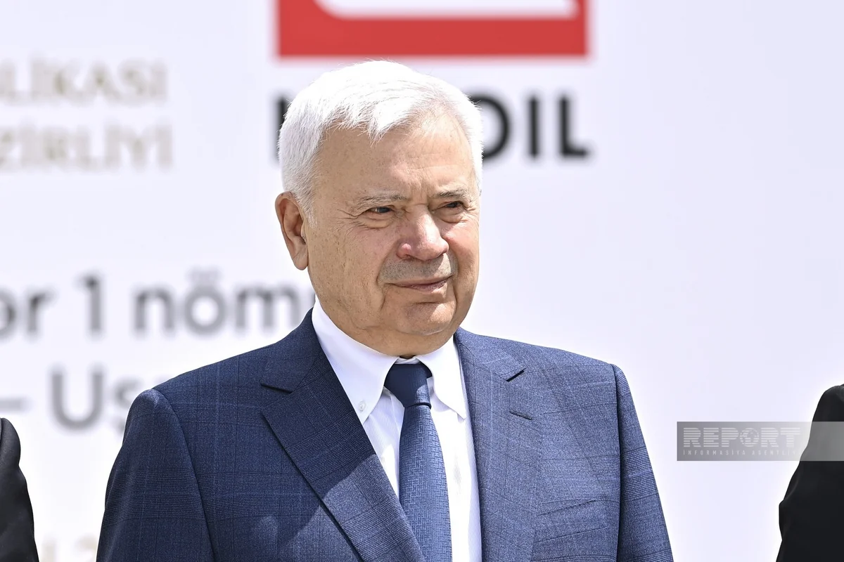 Вагит Алекперов: Детский сад в Физули призван способствовать развитию нового поколения