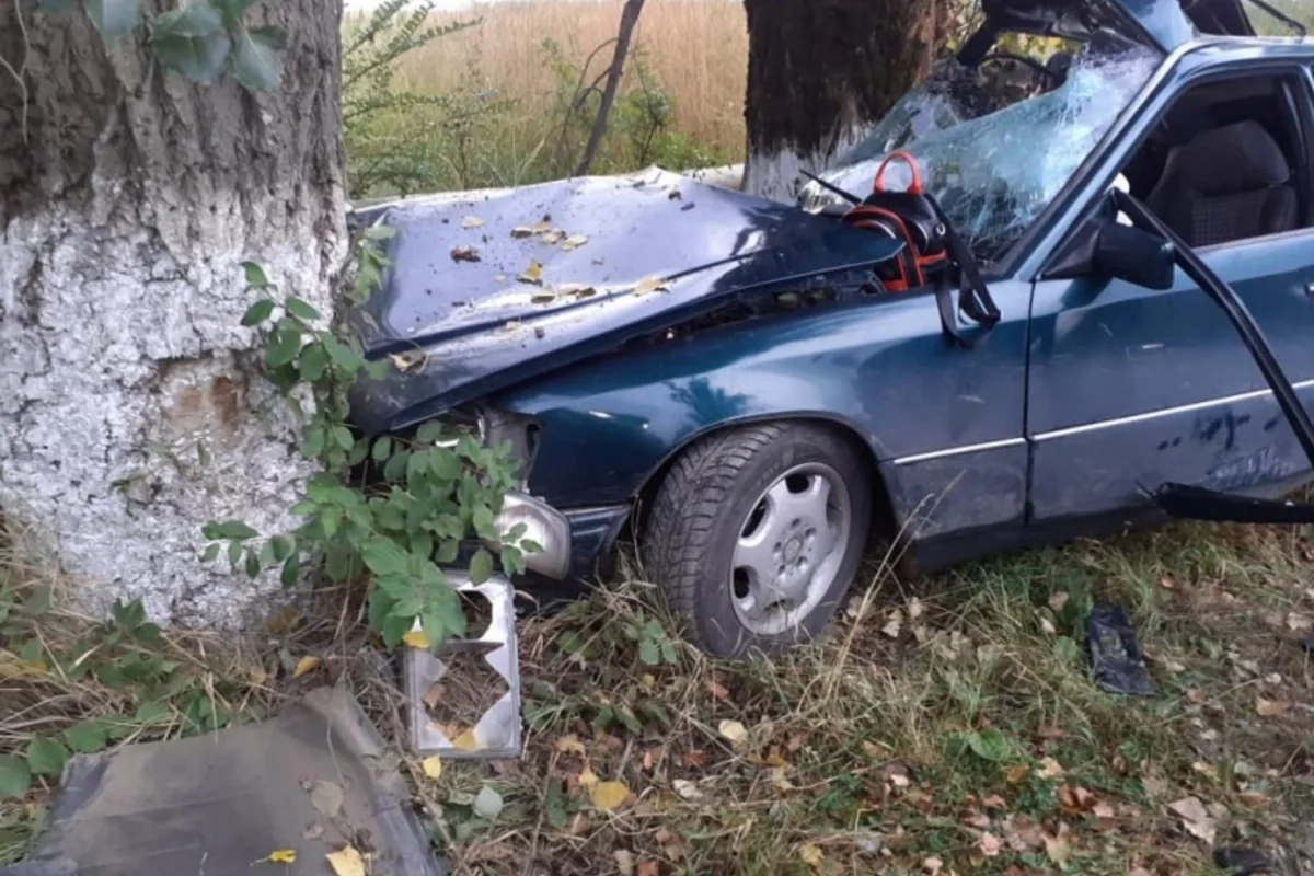 В Шеки автомобиль врезался в дерево, есть погибший и пострадавшие
