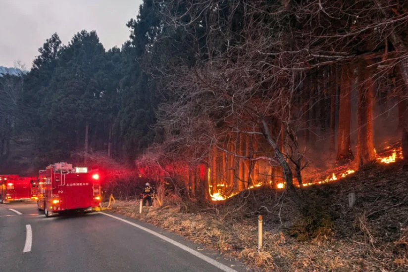Yaponiyada 1400 yanğınsöndürən güclü meşə yanğınları ilə mübarizə aparır