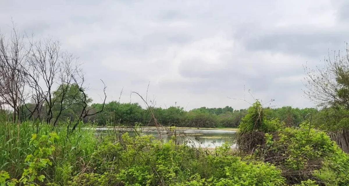 Уровень воды на имишлинском участке Куры стабилизировался