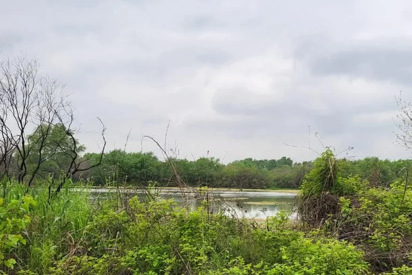 Kürün İmişlidən keçən hissəsində su artımı stabilləşib