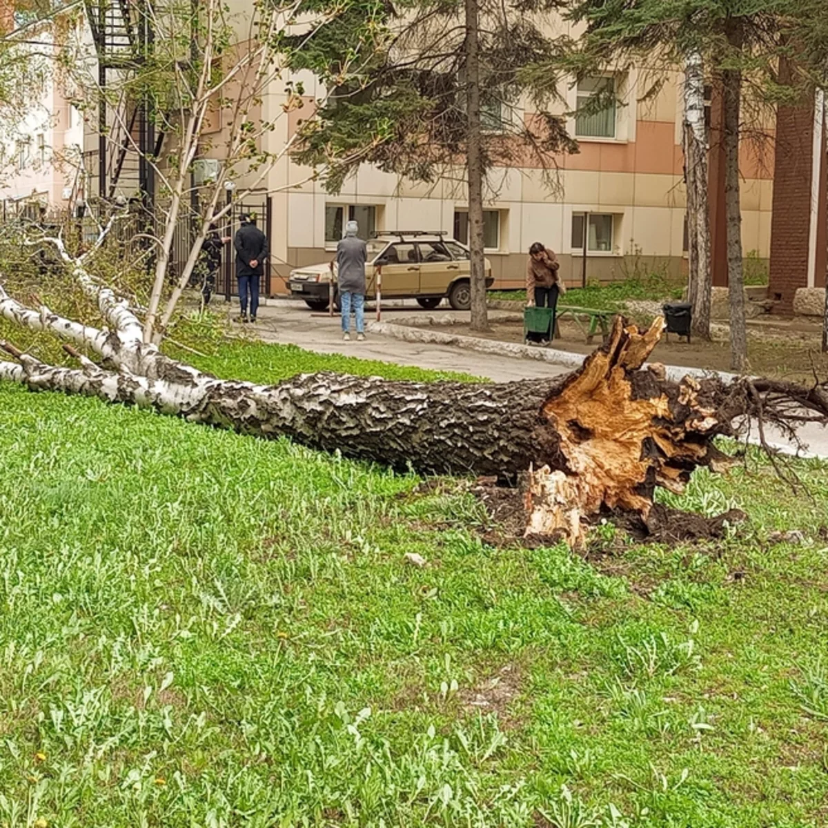 Rusiyada əlverişsiz hava şəraitinə görə 1 uşaq ölüb, 31 nəfər xəsarət alıb