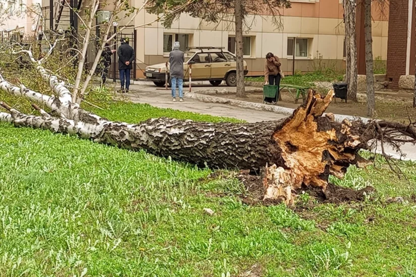 Rusiyada əlverişsiz hava şəraitinə görə 1 uşaq ölüb, 31 nəfər xəsarət alıb