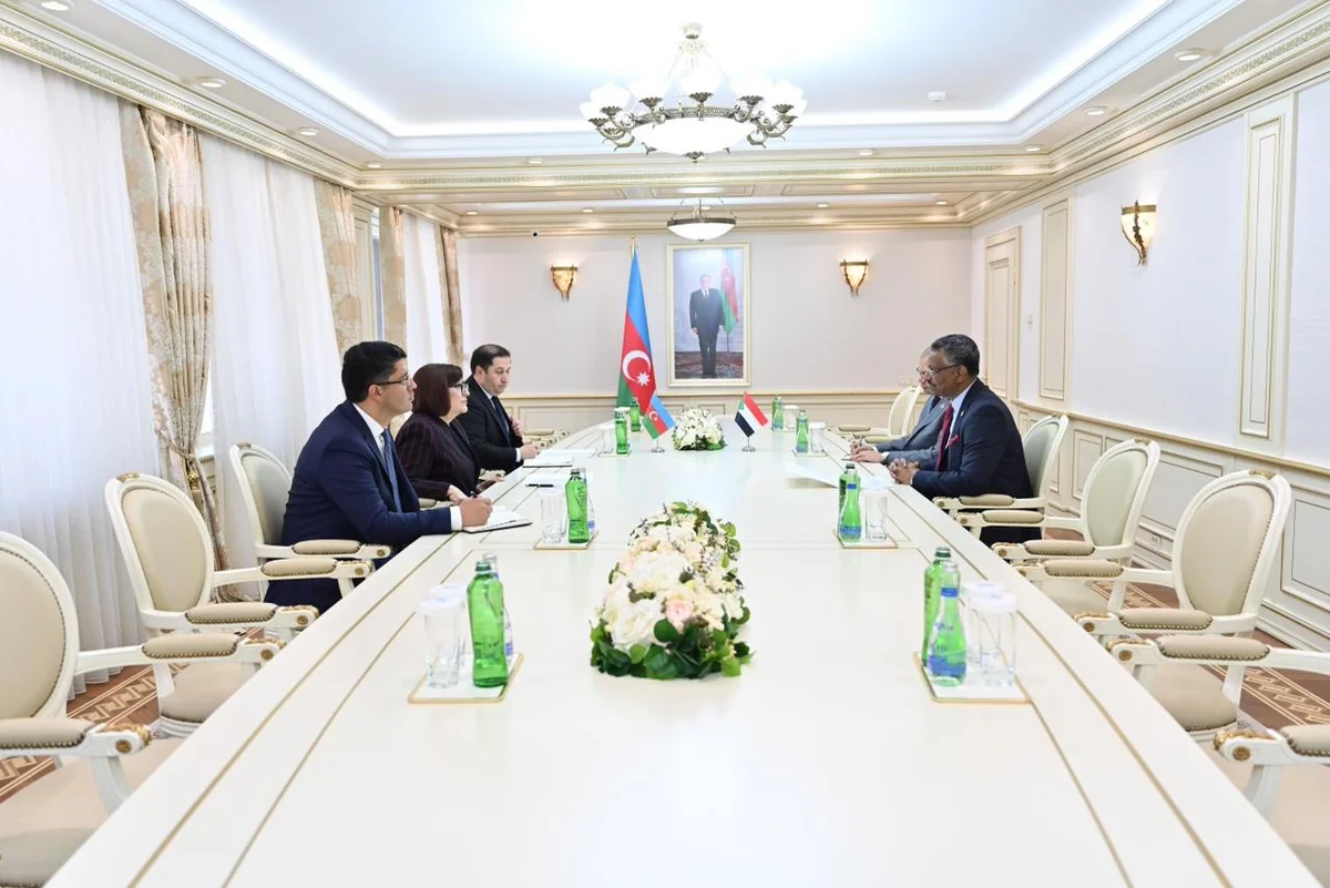 Sahibə Qafarova sudanlı səfirlə parlamentlərarası əməkdaşlığı müzakirə edib