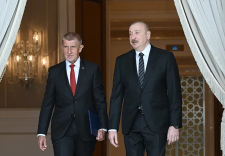 President Ilham Aliyev, Czech Prime Minister Andrej Babiš deliver press statements