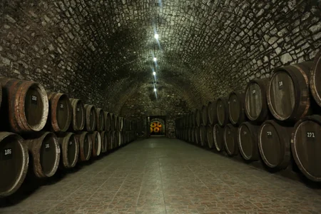 Göygöl Şərab Zavodunun səhmdarlarının yığıncağı keçiriləcək