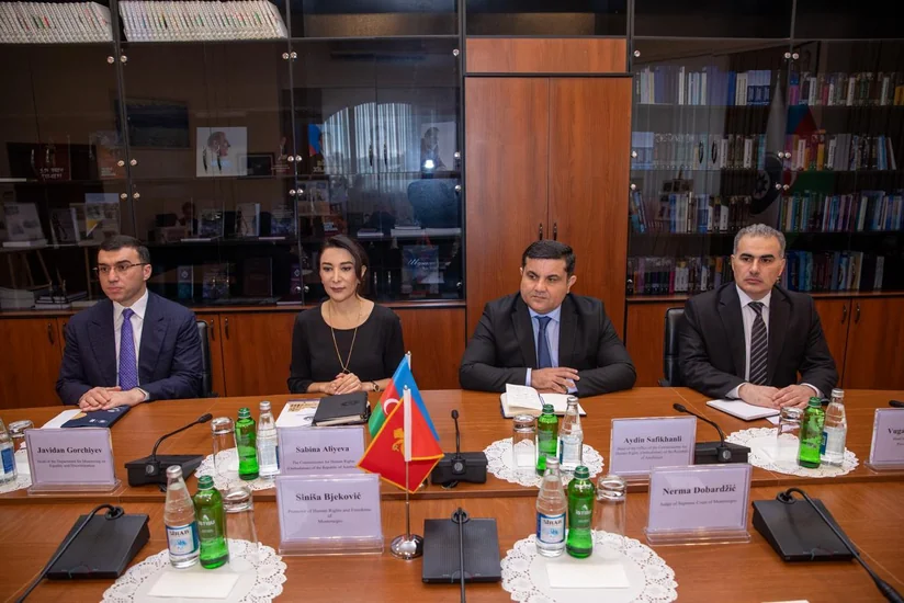 Səbinə Əliyeva monteneqrolu həmkarı ilə əməkdaşlığı müzakirə edib