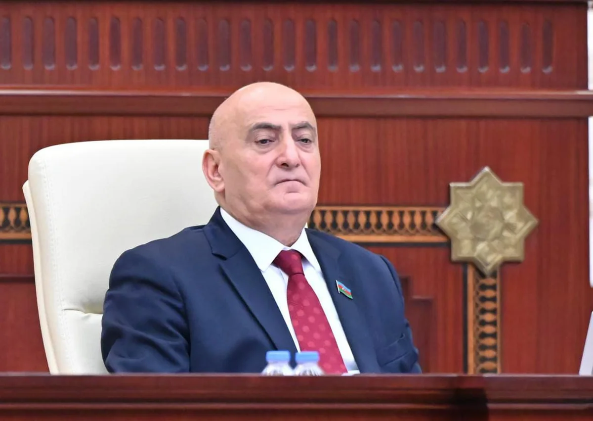 Musa Qasımlı: Azərbaycan ölkədəki alman tarixi və mədəni irsinin qorunmasını təmin edir