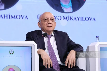 Ailə, qadın və uşaq məsələləri üzrə panel müzakirəsi keçirilib