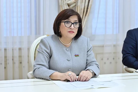 Azerbaijani Parliamentary Speaker meets with UK Ambassador