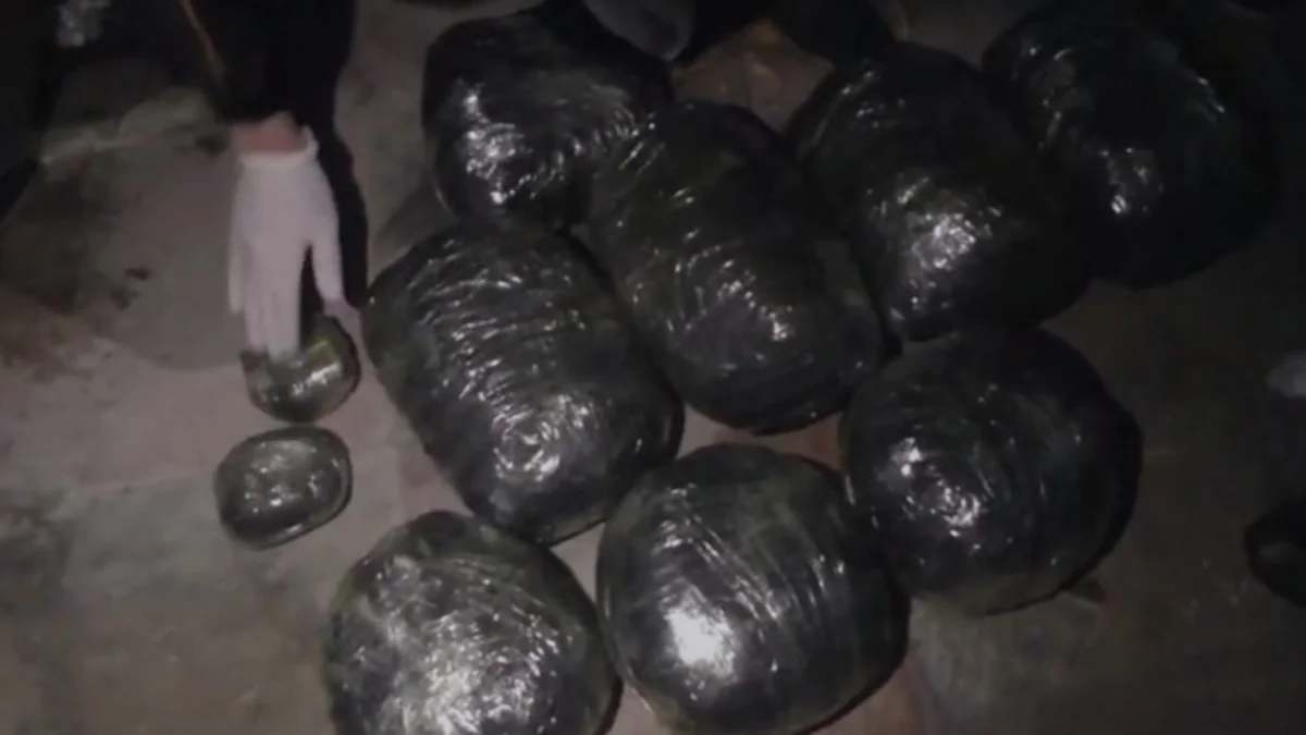 Masallıda 14 kiloqram narkotik vasitə aşkarlanıb