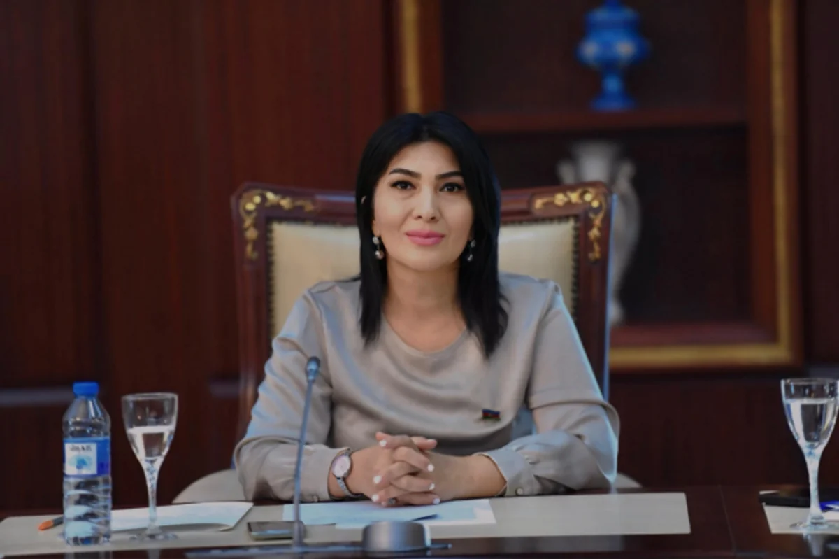 Elnara Akimova: Azerbaijani Parliament's decision to suspend cooperation with European Parliament - not emotional step