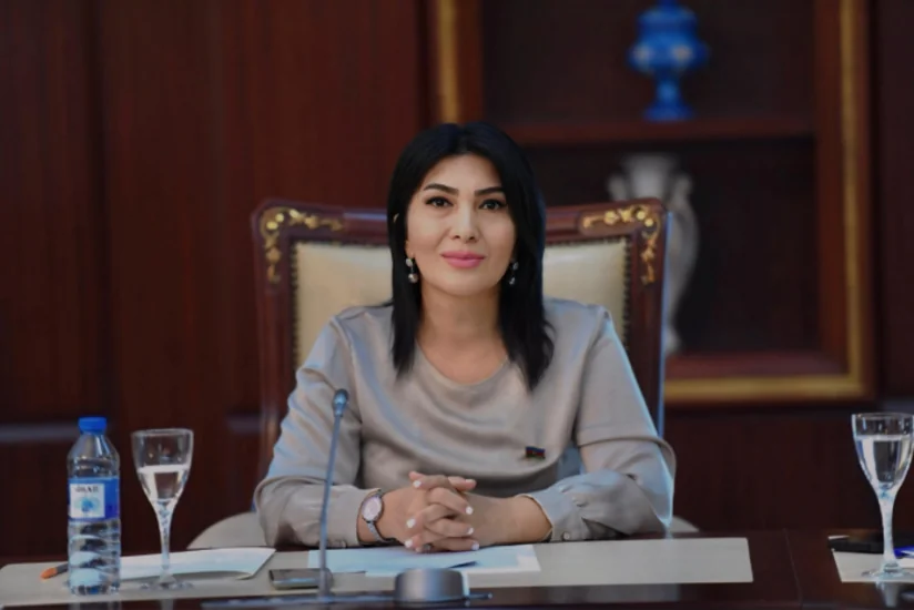 Elnarə Akimova: Milli Məclisin Avropa Parlamenti ilə əməkdaşlığı dayandırmaq qərarı emosional addım deyil