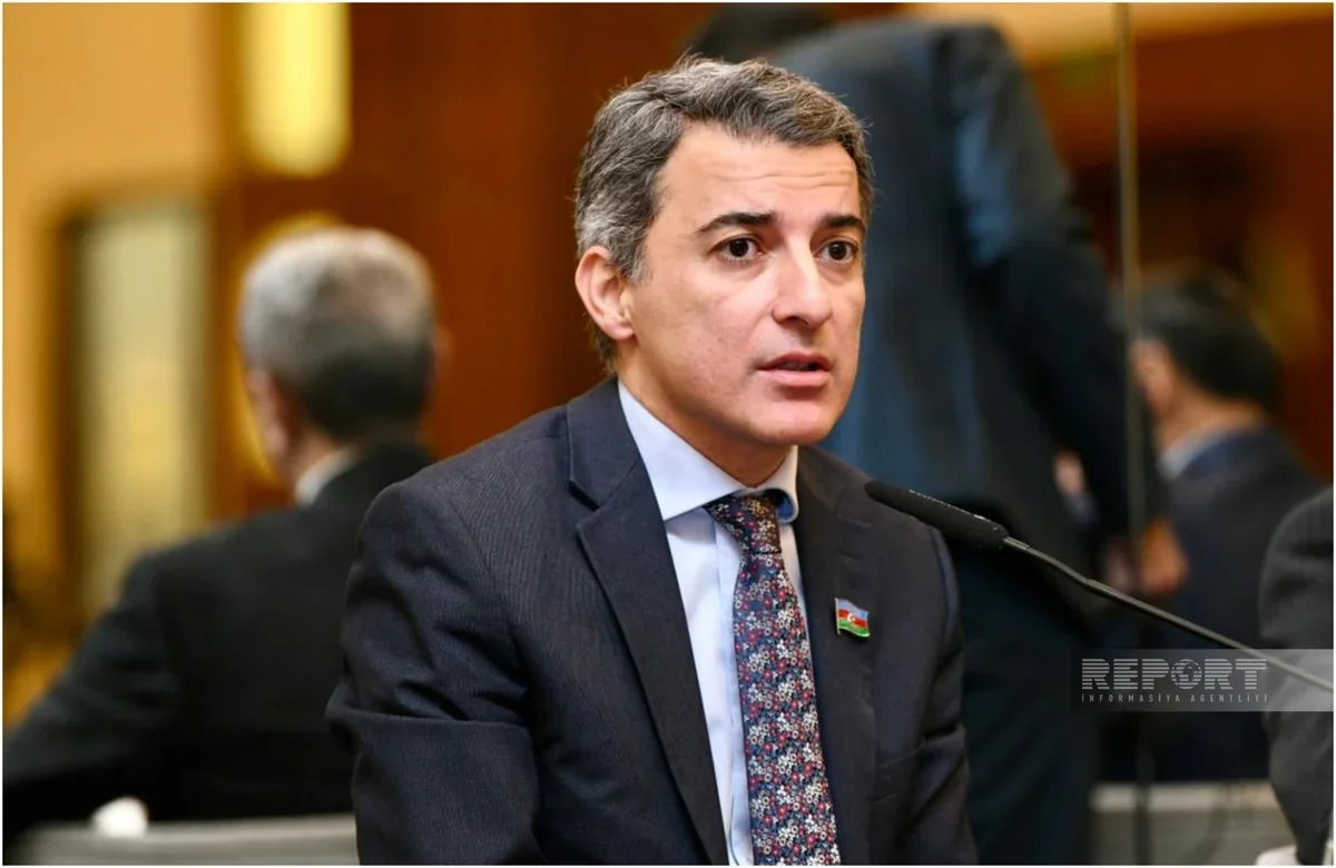Azərbaycan Avropa Parlamentinə adekvat cavab verib, aydın mesaj göndərib