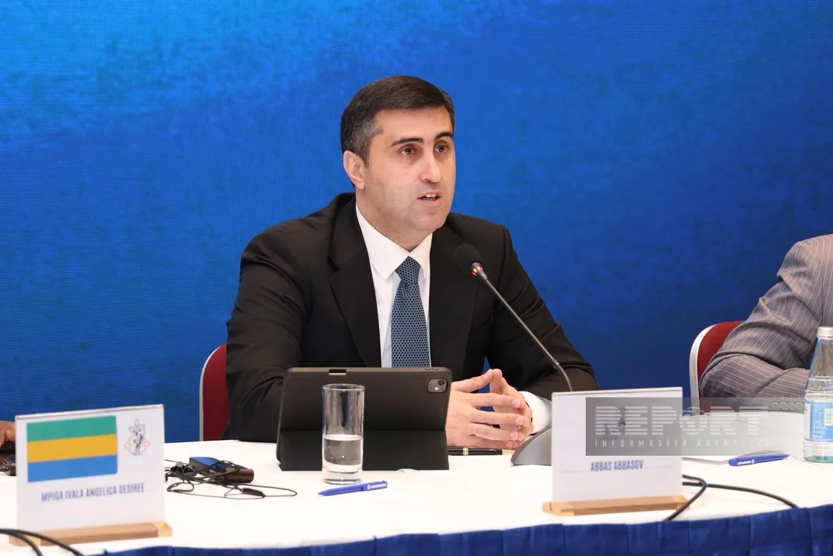 Executive Director Abbas Abbasov: Baku Initiative Group held over 35 events
