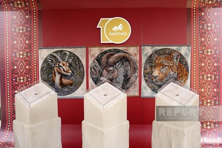 İçərişəhərdə Beynəlxalq Xalça Festivalının açılış mərasimi keçirilib - YENİLƏNİB